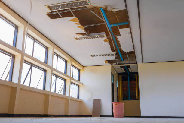 Carpet water damage restoration in Bothell East, WA