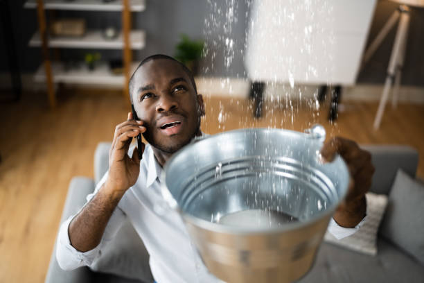 Best Flood damage cleanup  in Bothell East, WA