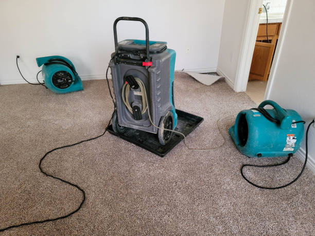 Trusted Bothell East, WA Water damage restoration Experts