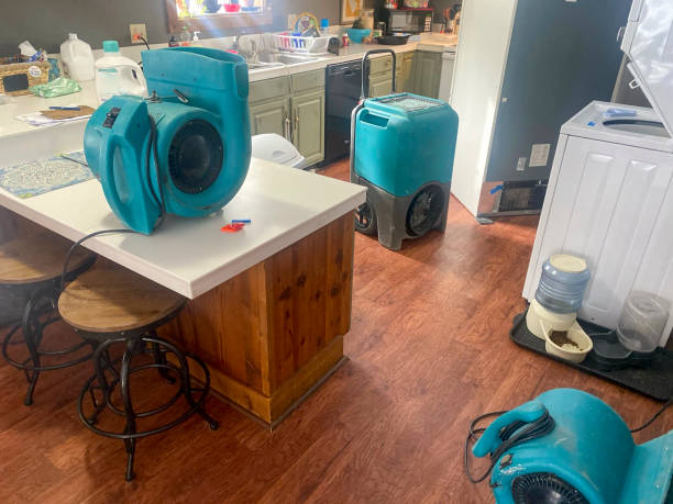 Best Water damage cleanup near me  in Bothell East, WA