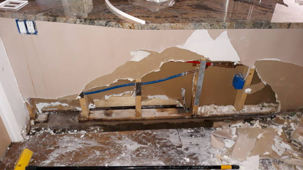 Best Water damage restoration specialists  in Bothell East, WA