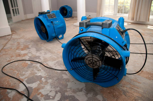  Bothell East, WA Water damage restoration Pros