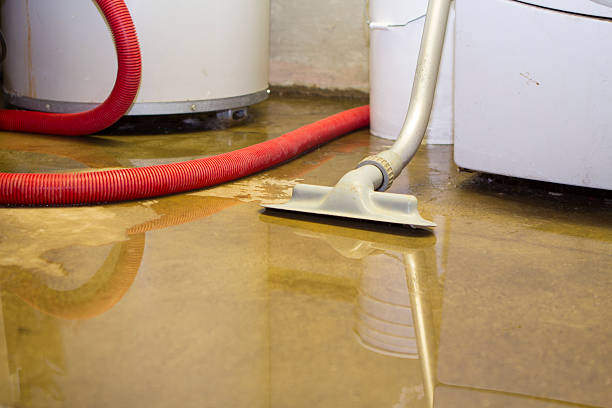 Best 24-hour water damage restoration  in Bothell East, WA