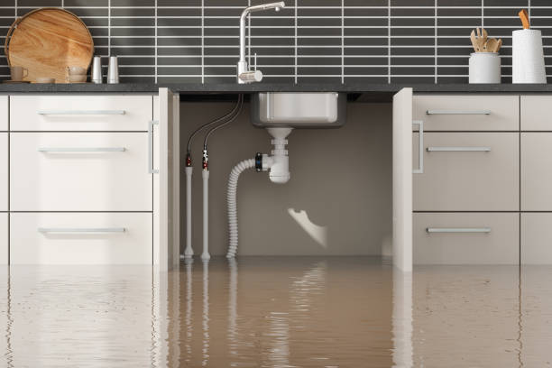 Best Carpet water damage restoration  in Bothell East, WA