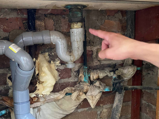 Best Carpet water damage restoration  in Bothell East, WA