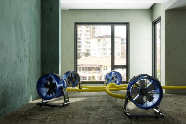 Best Sewage cleanup and water damage restoration  in Bothell East, WA